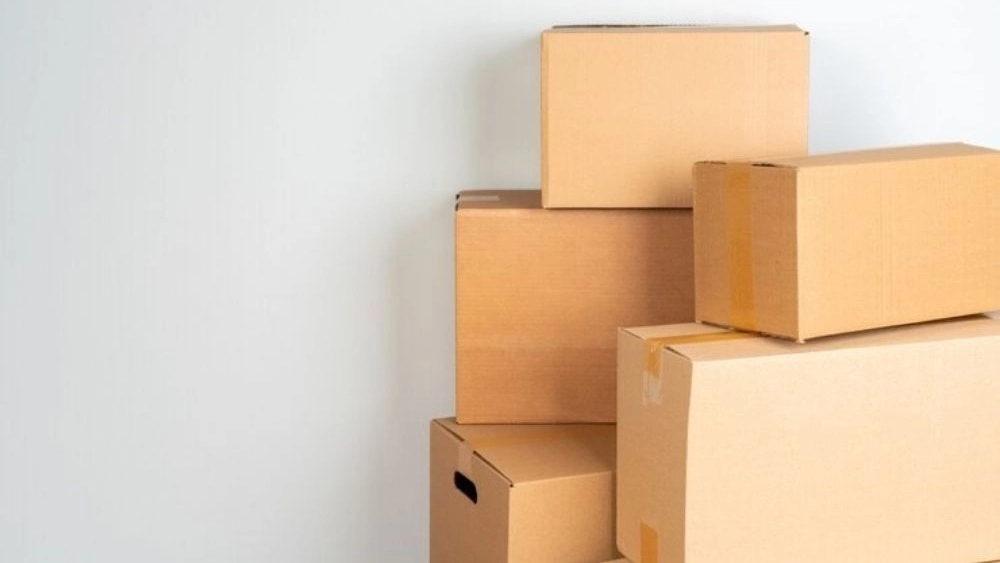 Production of three and five -layer cartons in Mohammad Shahr Karaj