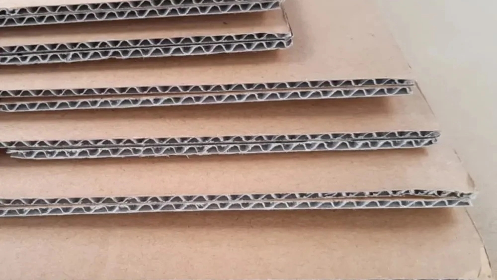 کارتن سازی روژهلات
