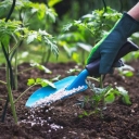 Ekine Chi, Sale of China's agricultural equipment and fertilizers and seeds in Hamadan