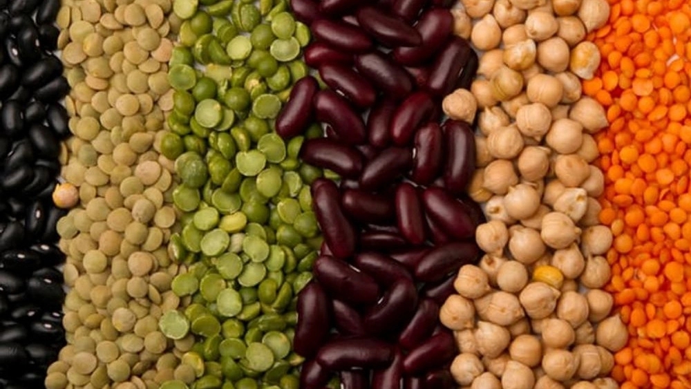 Artemis Store, Sale of Beans and Exports of Canned Lottery in Tehran