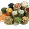 Artemis Store, Sale of Beans and Exports of Canned Lottery in Tehran