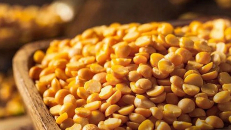 Sale of cotyledons in Tehran