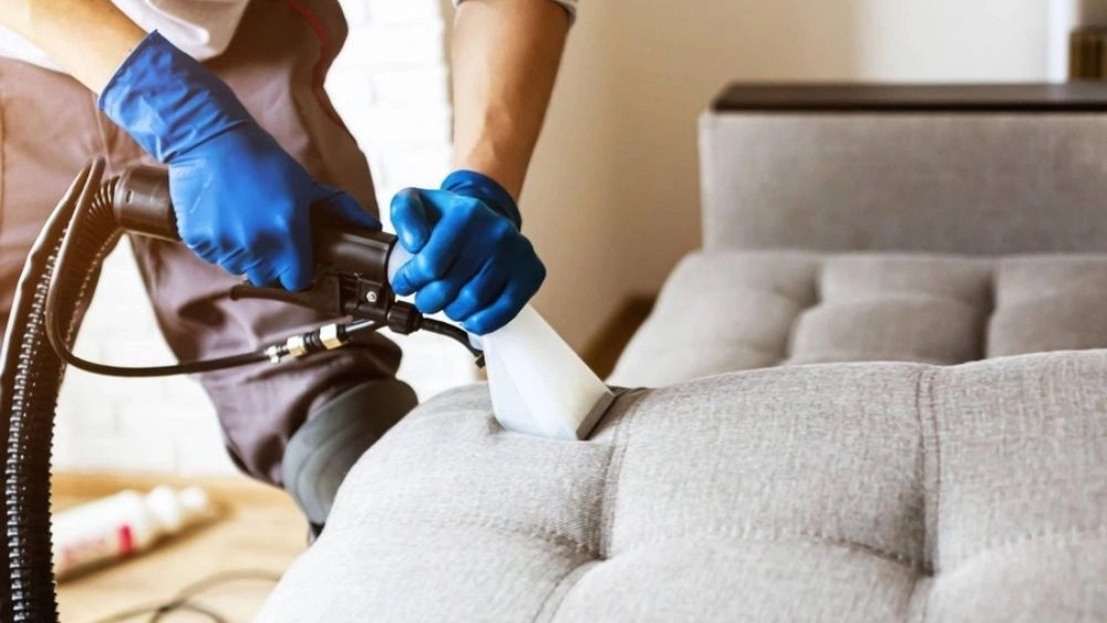 Washing all kinds of chair sofa in Amol