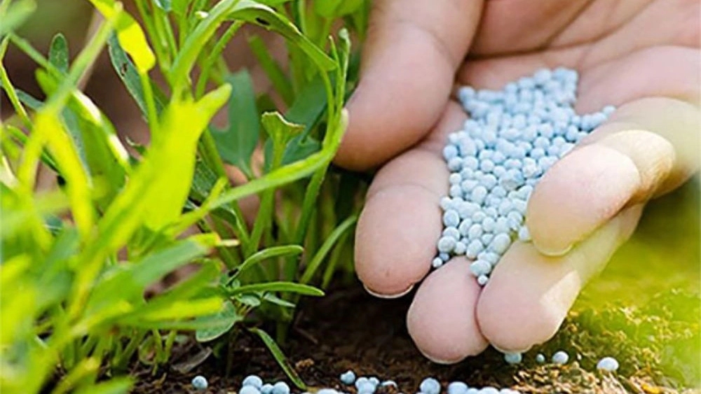 Rahami Agriculture Group, Production of Chemical Fertilizers in Karaj