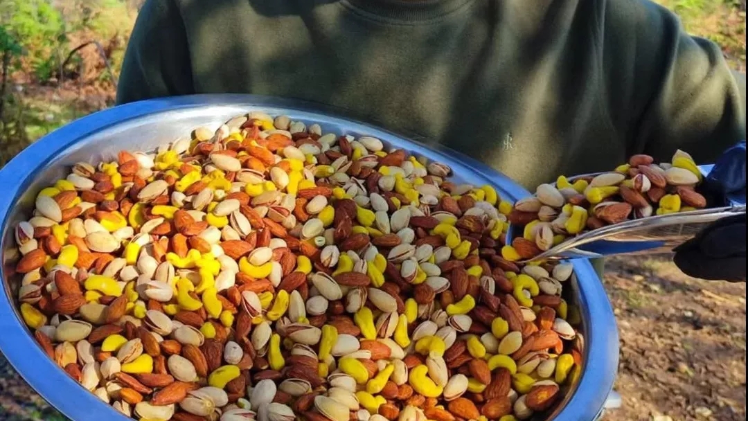 Mazandaran Organic Nuts and Nuts