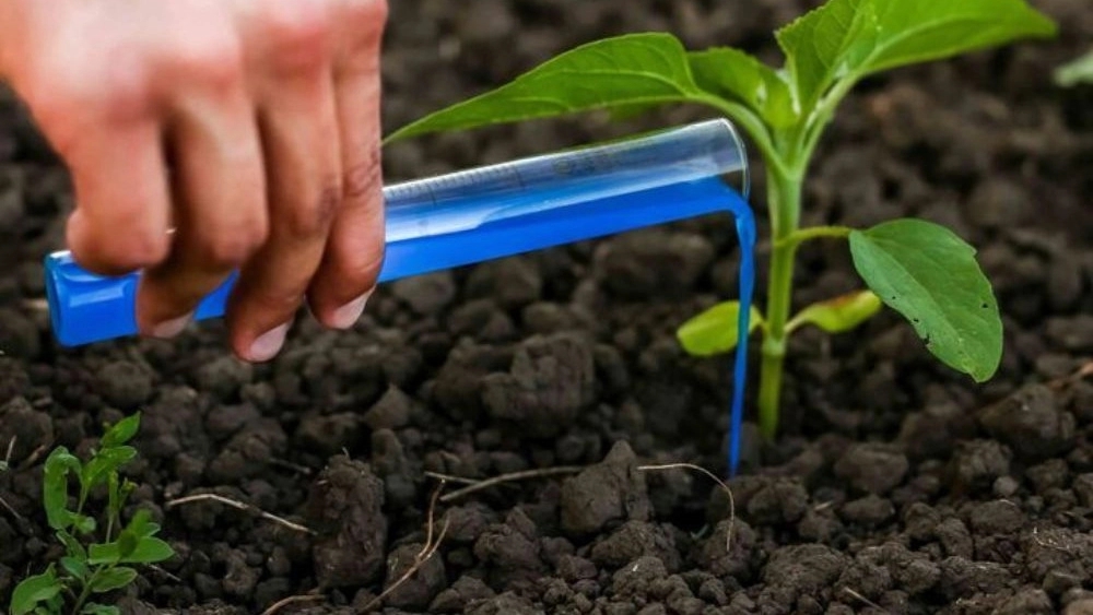 Michaka Commerce, Wholesale and Exports of Fertilizer and toxins in Mazandaran