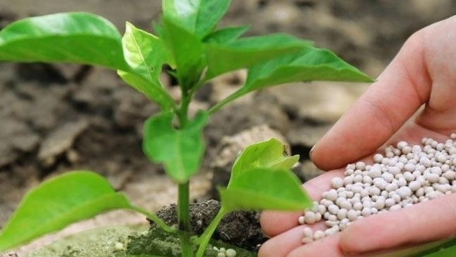 Dan Green Seedlings Company, Production of all kinds of fertilizers in Tehran