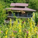 Villarud, Rental of Villa Residence and Wooden Cottage in Ramsar