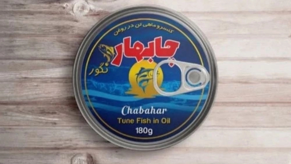 Chabahar Fish Stars Company, Fish Fish Production in Chabahar