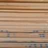 Ahmadi manufacturing, buying and selling under Palti Neopan in Chahar Dangan