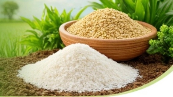 Major sales and export of ammonium sulfate fertilizer