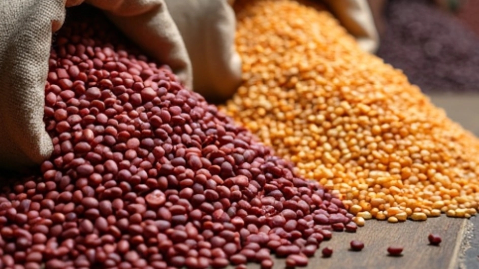۲ Important Tips When choosing high quality beans in Zanjan stores