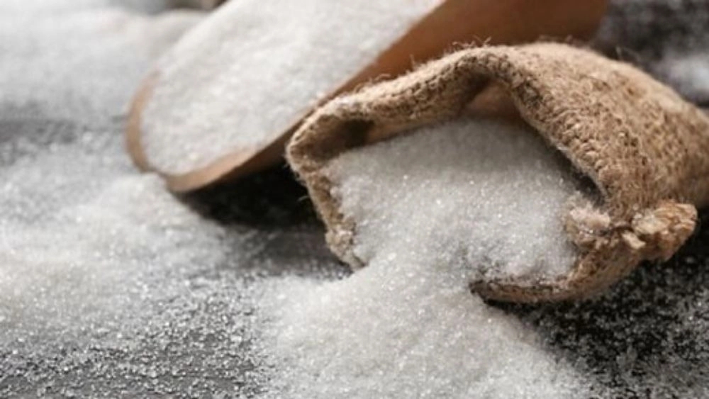 Mahsa Company, Brazilian Sugar Export and Exports of Sunflower Oil in Yazd
