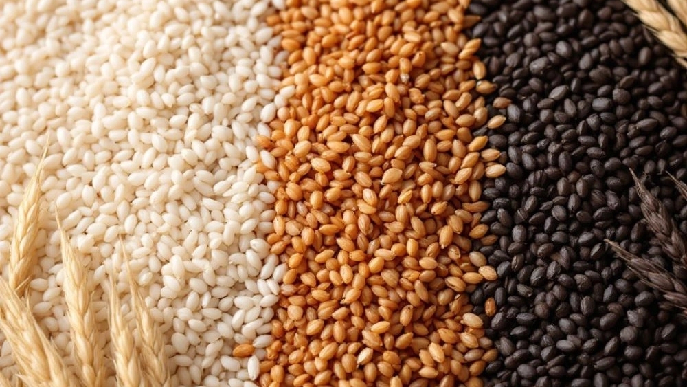 Introducing the types of rice in Isfahan's silk plant