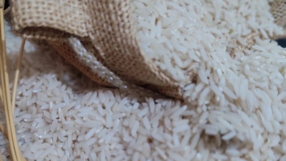 Ali Kazemi and Middle Minean Specialized Rice Distribution Center in Mohammad Shahr
