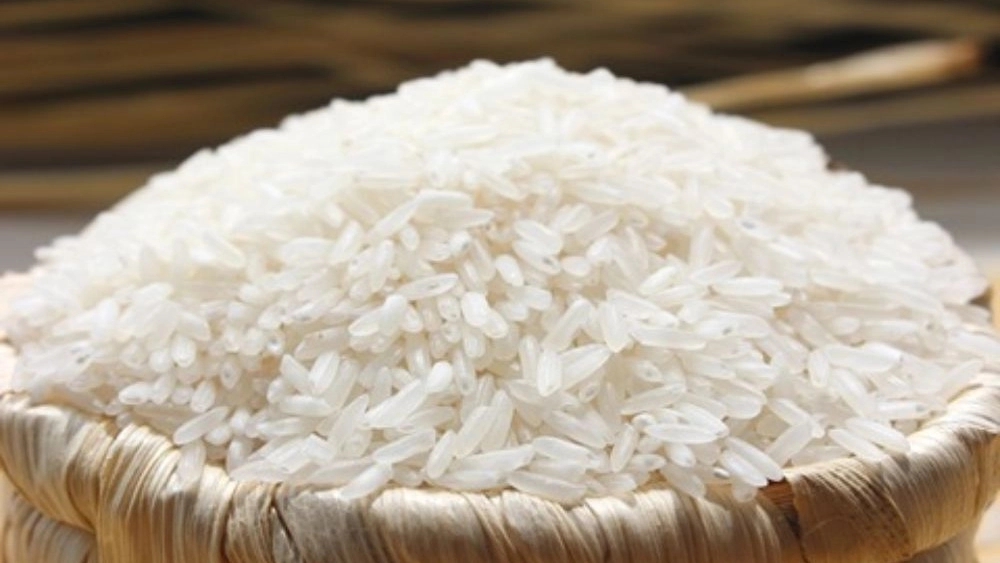 Sayed Rice Broadcast, Middle -Middle Rice and Ali Kazemi in Mohammad Shahr