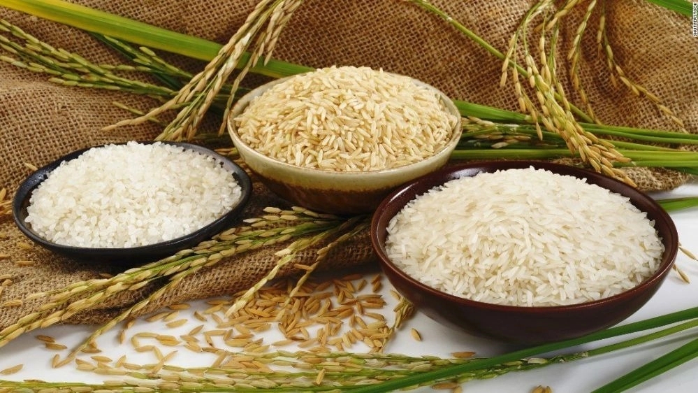 Organic Market, Sales of Tarom and Hashemi's First Croping Rice in Fereydoon