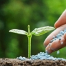 Time agricultural inputs, sale of all kinds of soil and compost fertilizer in Qom