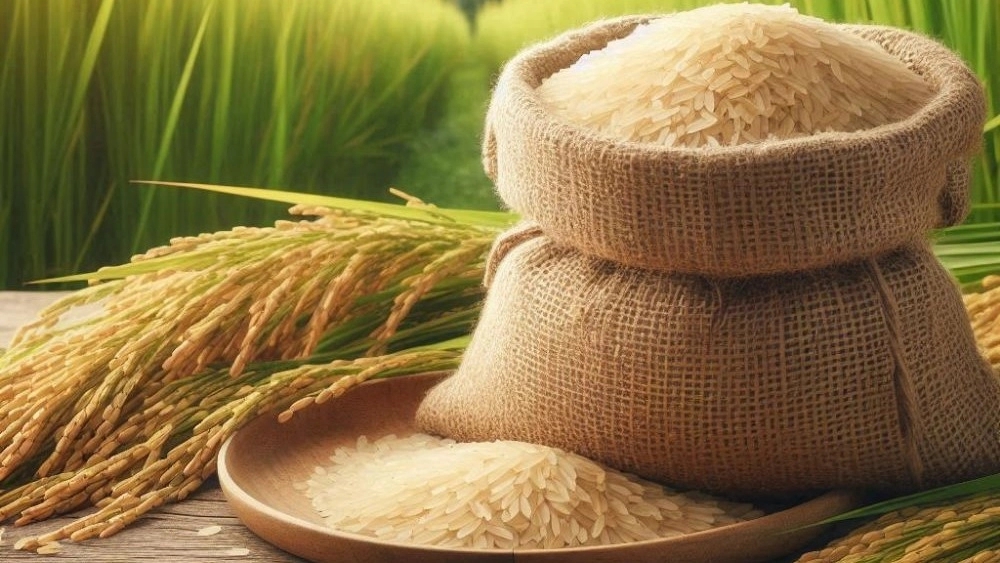 The difference between rice first cultivation with other types of rice; Investigating the quality of Tarom and Hashemi Organic Market