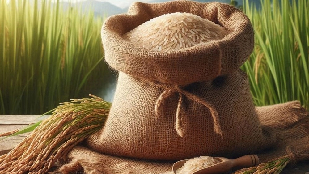Trusted purchase of Fereidunkar rice; Original Rice Selection Guide Tarom and Hashemi from Organic Market Store