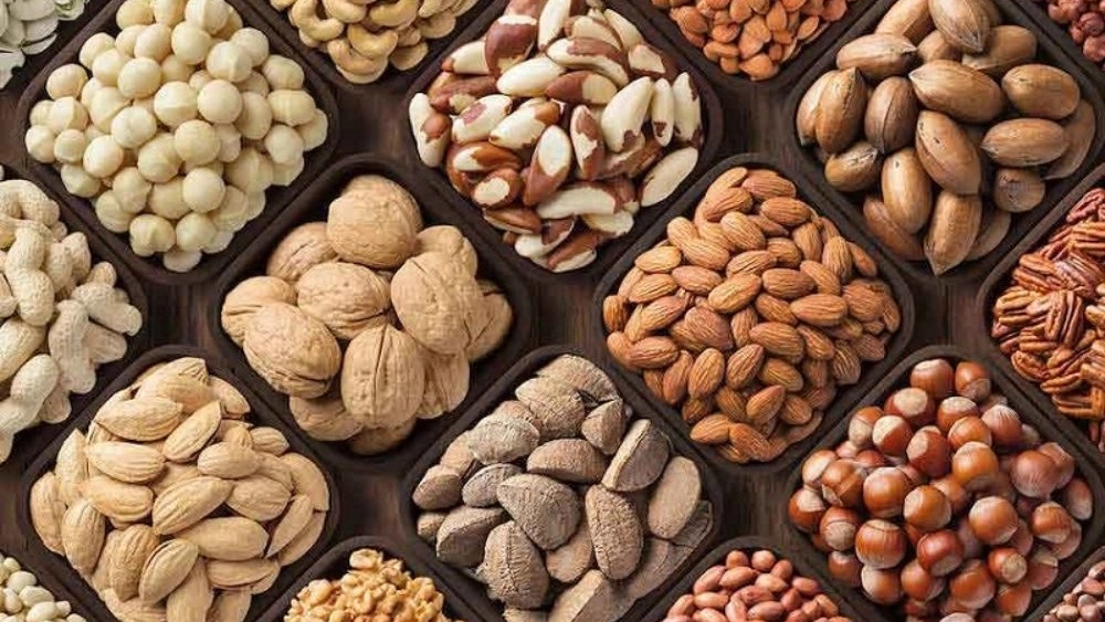Heidari Nutrition Exports, Buying and Selling Drinks and Plum Bukhara in Nishapur
