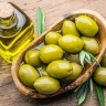 Tida Trading, Major Production and Sales of Olive in Rudbar