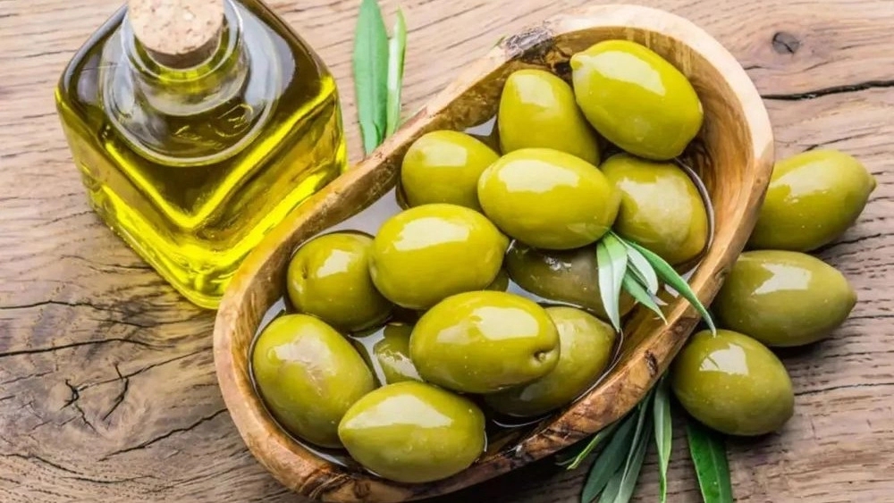 Tida Trading, Major Production and Sales of Olive in Rudbar
