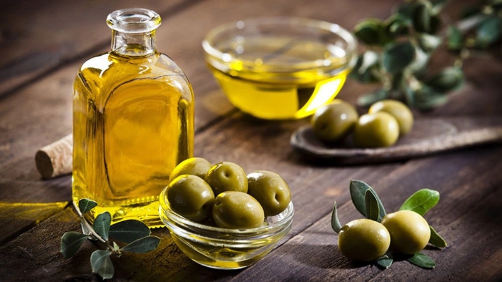 Green gold, olive oil production and olive oil in Zanjan