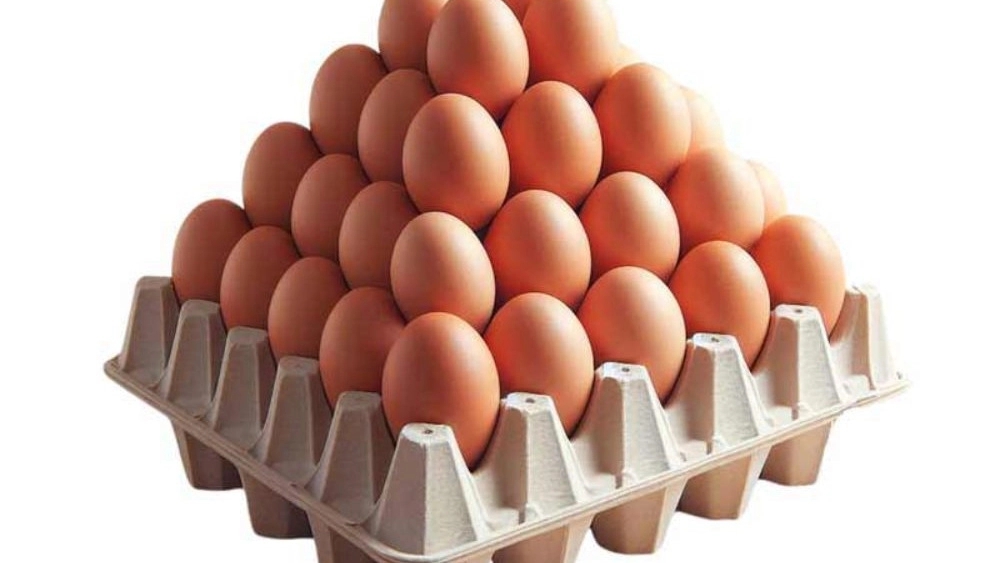 Cardboard eggs of Zoroastrian Factory Mihan, Producer in Lorestan