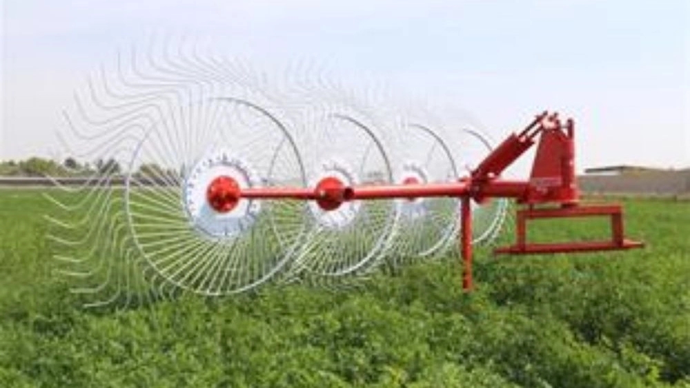Rick springs, manufacturing of grass and alfalfa Big Mohammadi collection in Isfahan