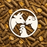 Taliban Garbic Food Trading, Import of Soybean Corn Types in Hashtgerd Karaj
