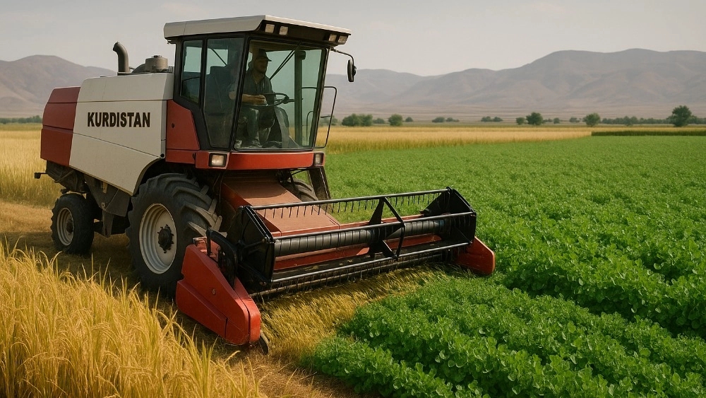 What is the best combine for rice and chickpea cultivation in Kurdistan? Introduction by dear equipment sir