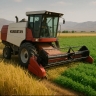 Dear Agha, Buying and Selling Rice Caenten Service to Chickpea in Kurdistan
