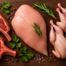 Gigo Protein, Sale of Turkey and Quail Meat in Tehran