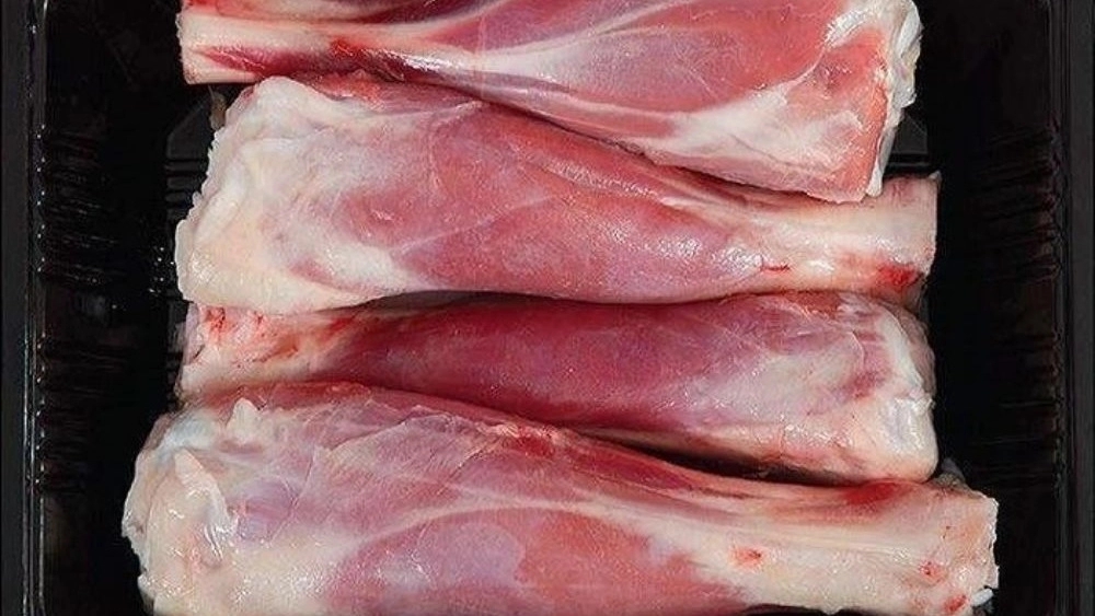 Gigo Protein, Sale of Turkey and Quail Meat in Tehran