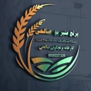 Salehi Green Gold Rice Factory, Production of Local Anbar Rice in Ahvaz