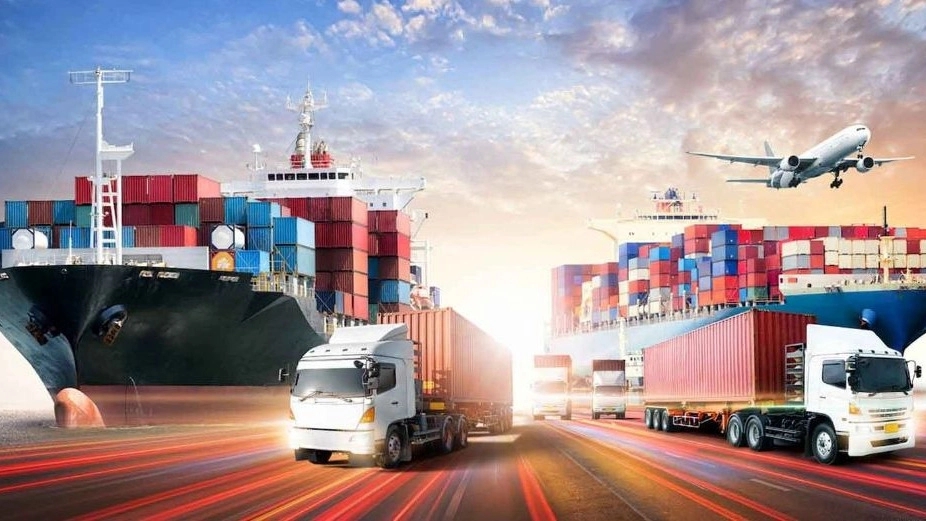 Phoenix Trading Company, Export and Import of Factory Raw Materials in Tehran
