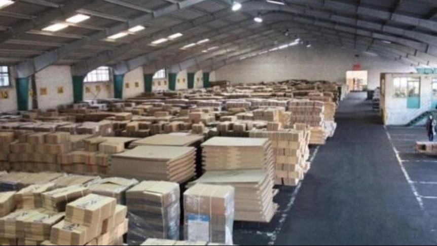 Dina Cartoon, Production and Sale of Cartoon and Boxing in Alborz
