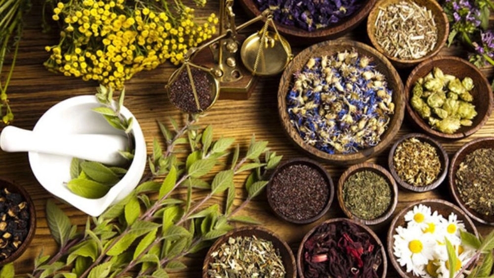 Mazandaran organic medicinal plants