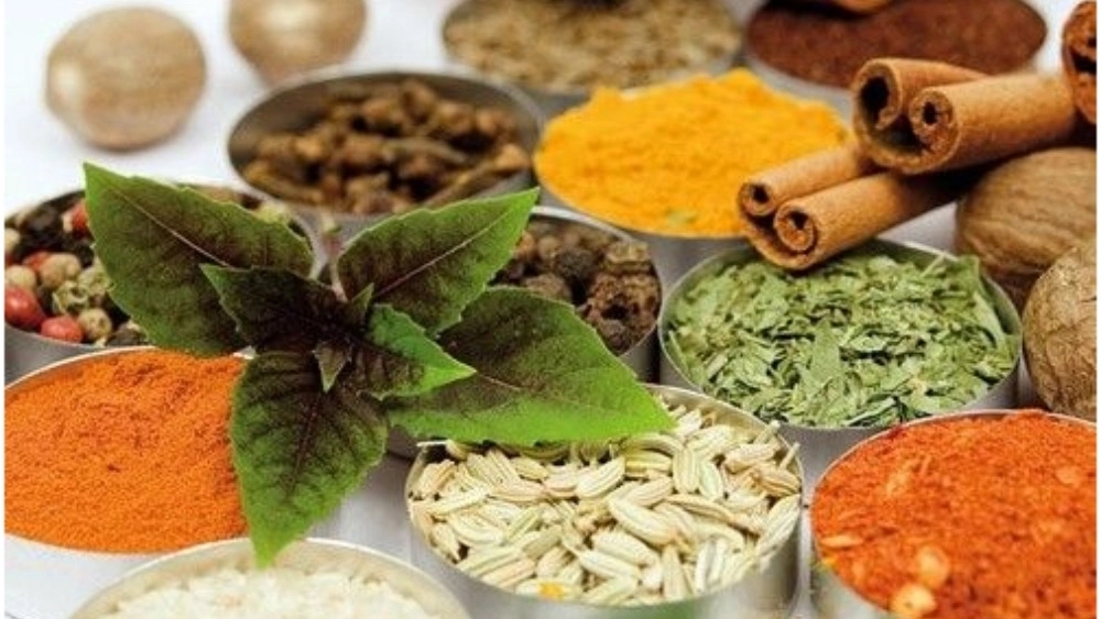 Ariana Trading, Sales of Medicinal Plants in Mazandaran