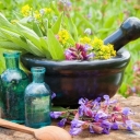 Ariana Trading, Sales of Medicinal Plants in Mazandaran