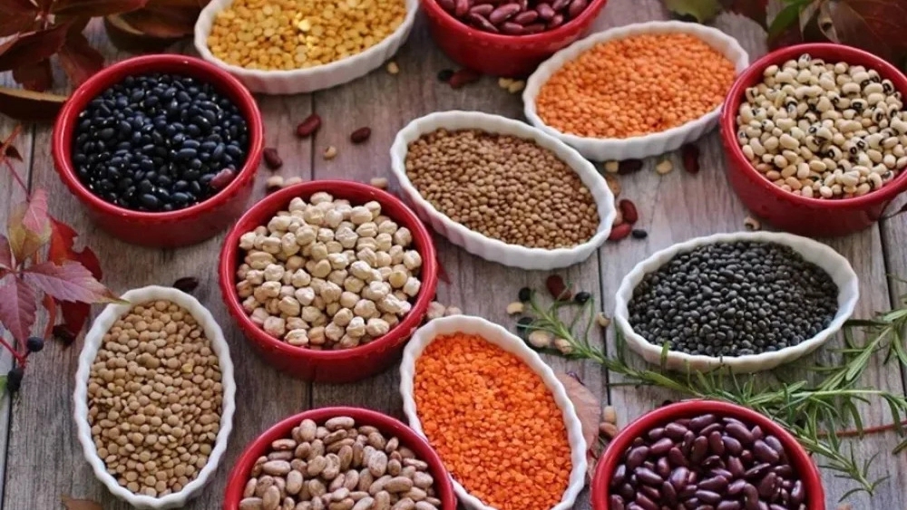 Sustainable broadcast warehouse, bulk sale in Isfahan