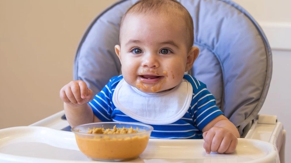 Bibi Food, Sale of European Baby Food Products Imported in Mashhad