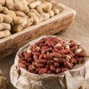 Taha Nuts, Production and Sales of Almonds in Islamshahr, Tehran