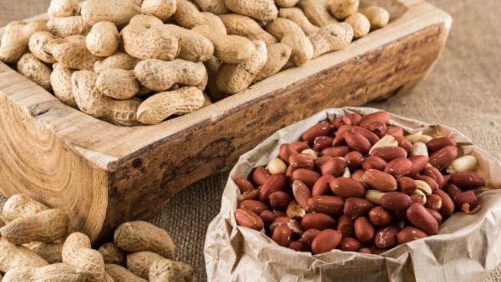 Taha Nuts, Production and Sales of Almonds in Islamshahr, Tehran