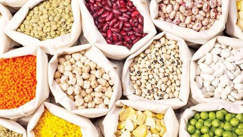 Eternal beans, buying and selling cereals in Oligodarz
