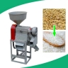 Maya Industry North, Production of Rickery and Rice in Golestan Dome Cavus