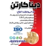 Dina Cartoon, Production and Sale of Cartoon and Boxing in Alborz