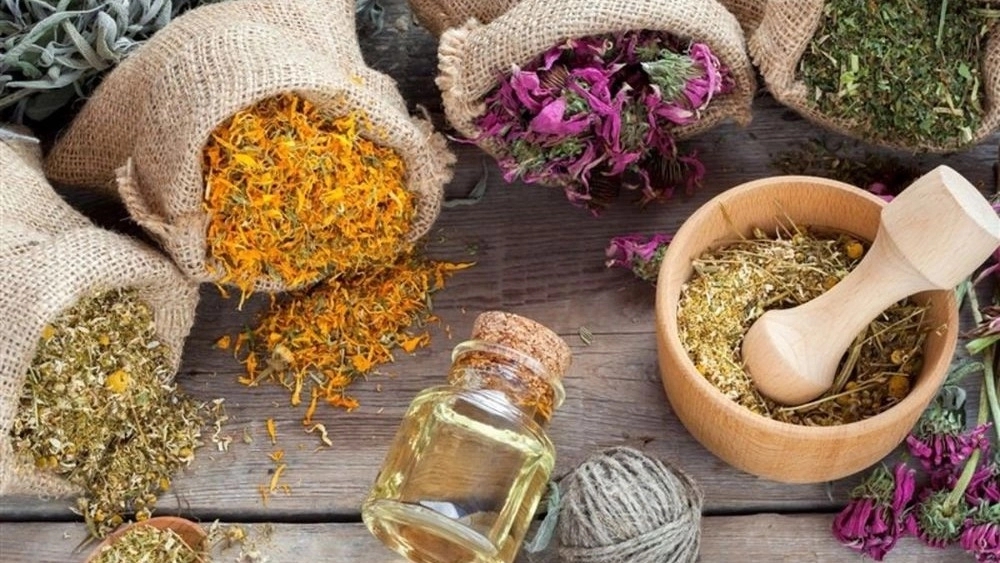 Anise Trading, Supply and Sales of Types of Medicinal Plants in Tehran