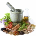 Shahranoush, supply and distribution of medicinal plants in Shiraz